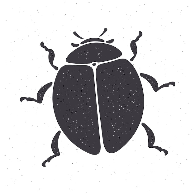 Silueta de vista superior de error Ilustración vectorial Insecto en la naturaleza Ilustración vectorial