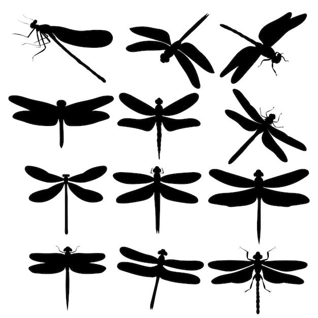 silueta, de, vuelo, libélulas, blanco, plano de fondo, conjunto