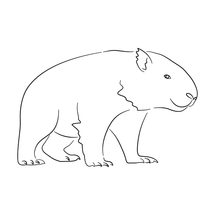 Vector silueta de un wombat hecho en estilo boceto ilustración vectorial