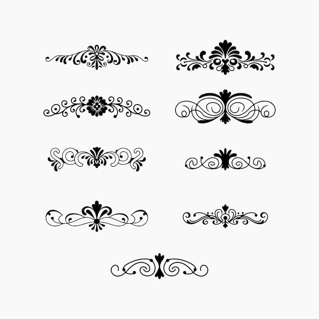 Las siluetas de los adornos florales dividen la ilustración vectorial