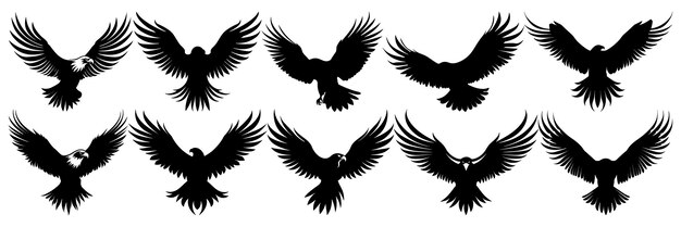 Siluetas de águila conjunto gran paquete de diseño de silueta vectorial aislado fondo blanco