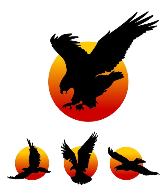 Siluetas de águila voladora