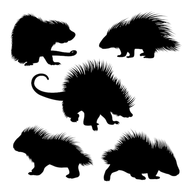 Vector siluetas de animales mamíferos porcupinos