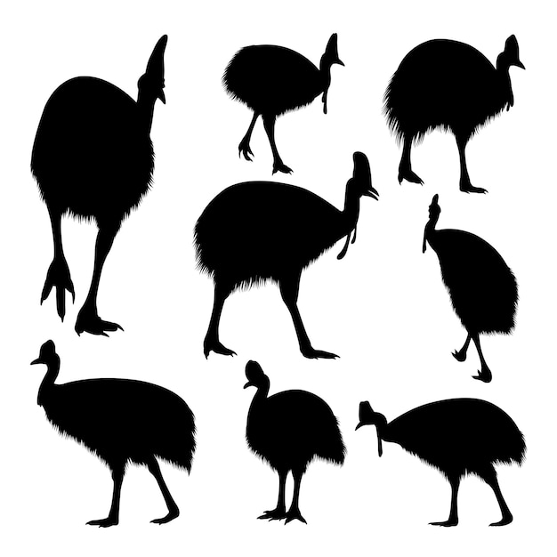 Vector siluetas de animales tropicales de aves casuario