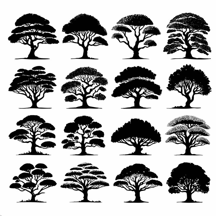 siluetas de árboles sobre un fondo blanco Ilustración vectorial