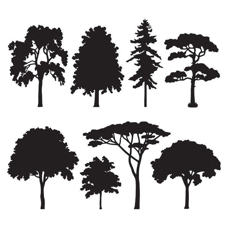 siluetas de árboles sobre un fondo blanco Ilustración vectorial
