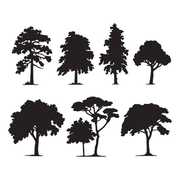 siluetas de árboles sobre un fondo blanco Ilustración vectorial