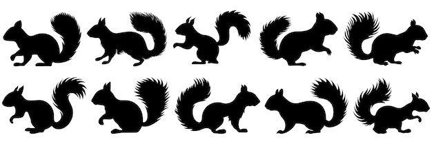 Siluetas de ardilla conjunto gran paquete de diseño de silueta vectorial aislado fondo blanco
