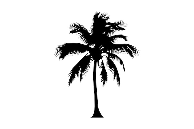 Siluetas artísticas de palmeras con fondo blanco