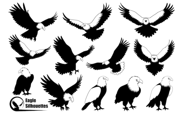 Siluetas de aves de águila americana Arte vectorial
