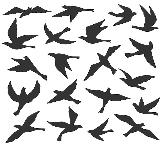 Siluetas de aves. Las aves vuelan en bandada, la migración de la vida silvestre animal, las palomas se elevan en el cielo. Conjunto de vectores de plantillas de tatuaje negro. Palomas en diferentes posiciones colección aislado en blanco ilustración