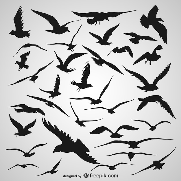 Vector siluetas de aves volando