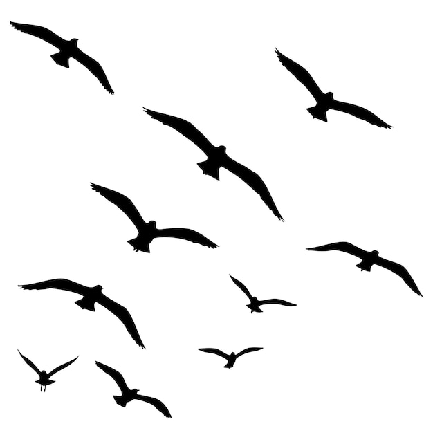 Siluetas de aves en vuelo contra un fondo blanco