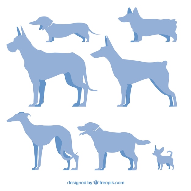 Vector siluetas azules de razas de perros