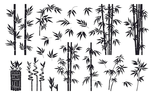 Siluetas de bambú Hojas y ramas de plantas forestales de la selva tinta negra decorativa bambú conjunto de ilustraciones vectoriales planas Colección de siluetas de ramas de bambú