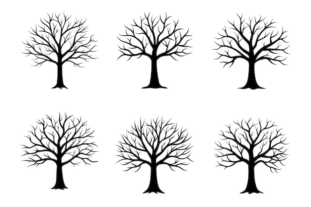 Siluetas blancas y negras de árboles desnudos de invierno