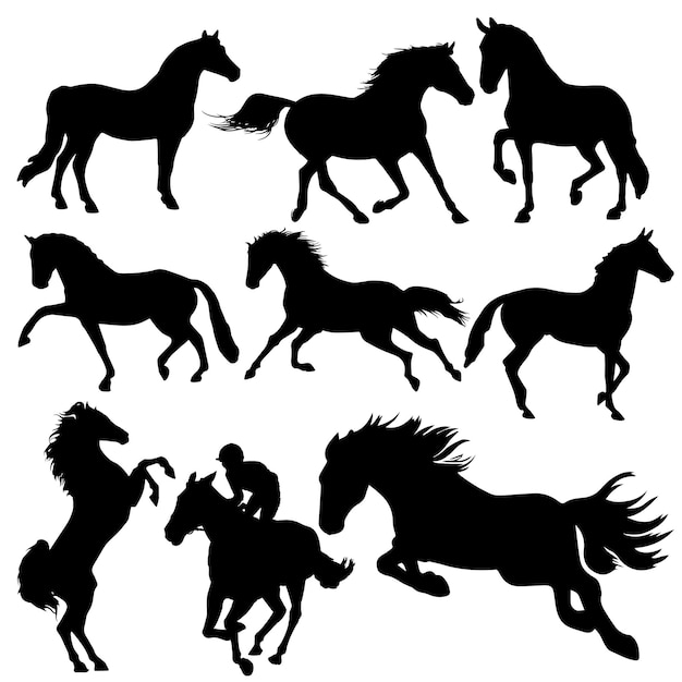 Siluetas caballos