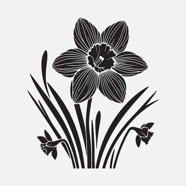 Las siluetas cautivadoras de las flores de narcisos Las siluetas impresionantes para proyectos creativos