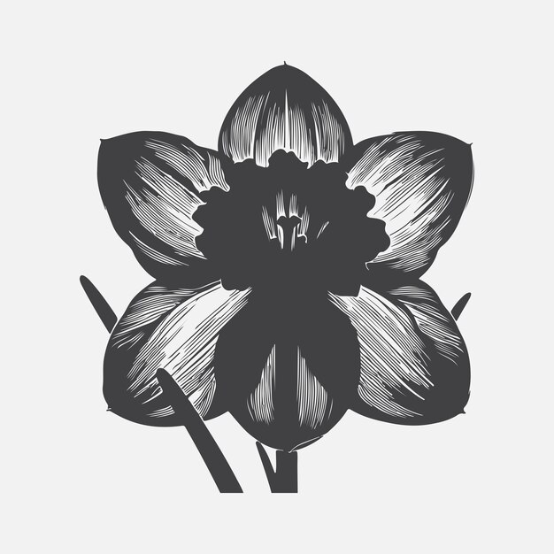 Las siluetas cautivadoras de las flores de narcisos Las siluetas impresionantes para proyectos creativos
