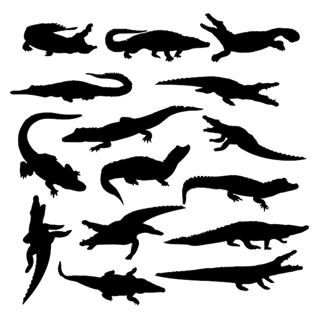 Siluetas de cocodrilo Silueta de crocodilo y silhueta de cocotero El clip art del cocodrillo
