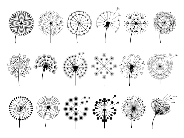 Siluetas de diente de león. Ilustraciones de flores decoración de flores
