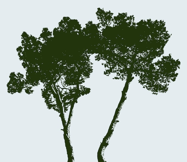 siluetas de dos pinos
