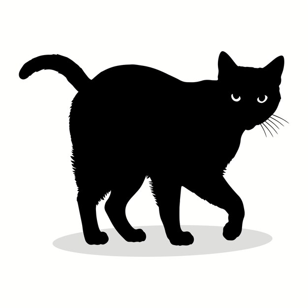 Siluetas e iconos de gatos Vector de animales de fondo blanco de color plano negro e ilustración