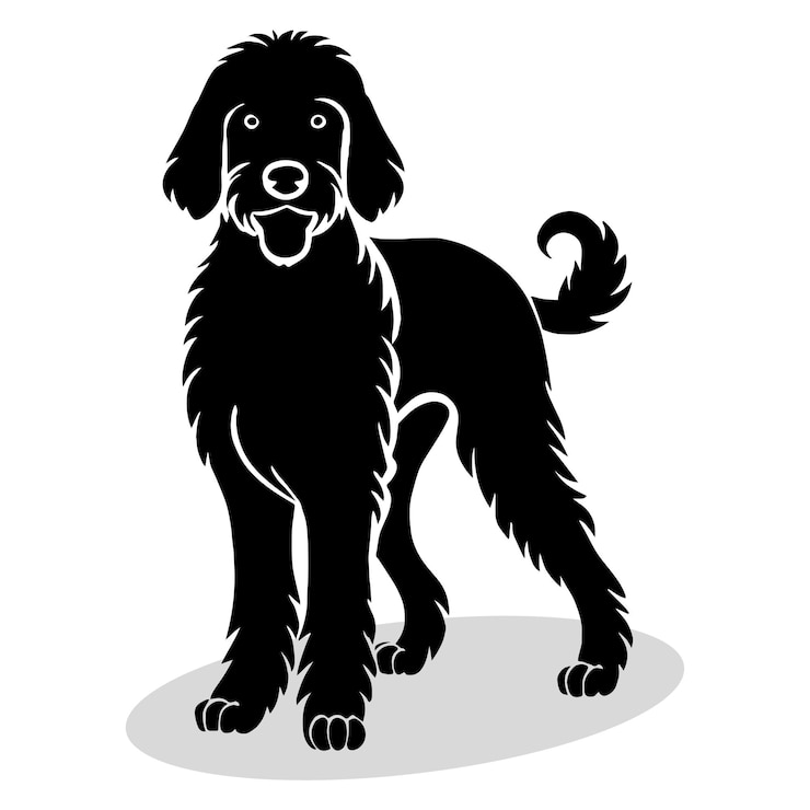 Vector siluetas e íconos de goldendoodle negro plano color blanco fondo vector de animales e ilustración