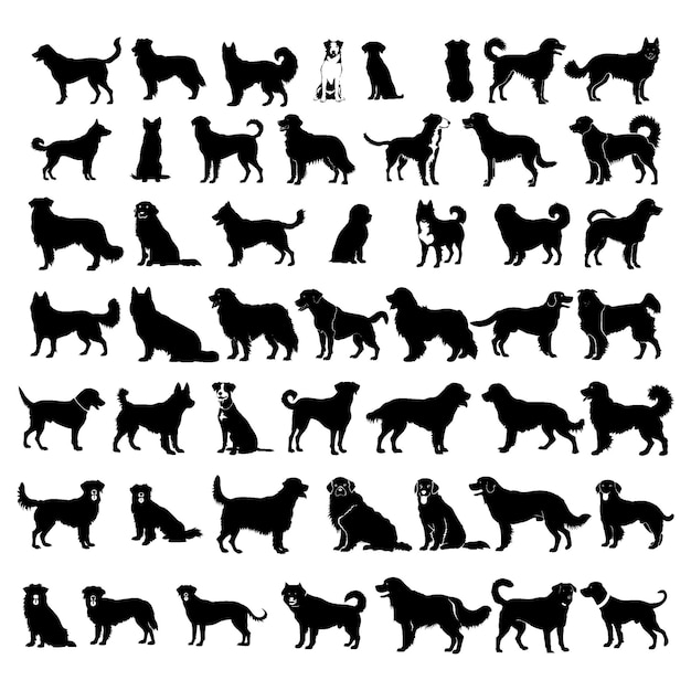 Las siluetas elegantes de las razas de perros