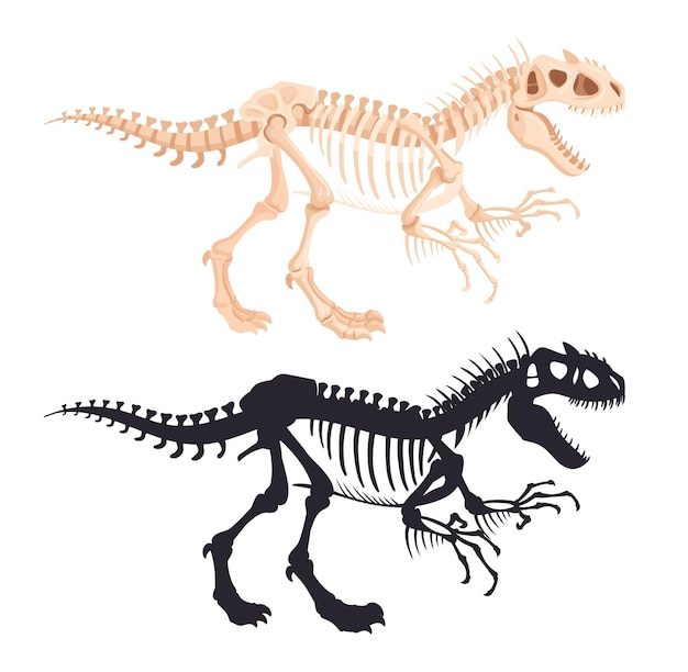 Vector siluetas de esqueletos de dinosaurios huesos fósiles de depredadores raptores silueta de dinosaurios antiguos conjunto de ilustraciones vectoriales planas esqueleto de reptiles del jurásico