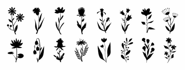 Siluetas de flores Conjunto de hojas Silueta de hermosas plantas Hojas diseño de plantas Vector