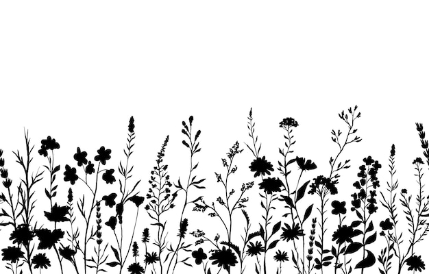siluetas de fondo con flores silvestres y plantas sin costuras de derecha a izquierda