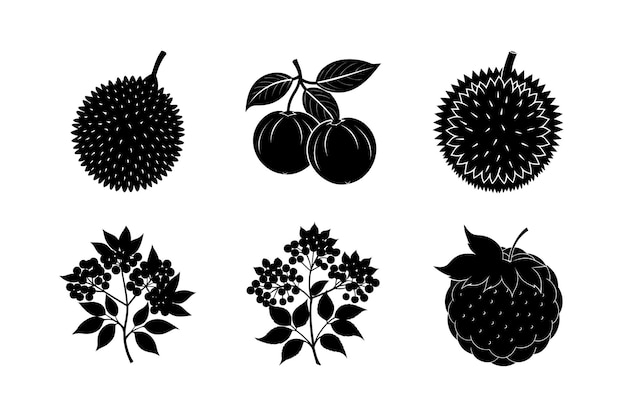 Siluetas de frutas tropicales y templadas