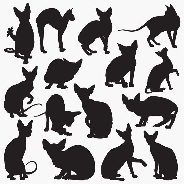 Siluetas de gatos Sphynx