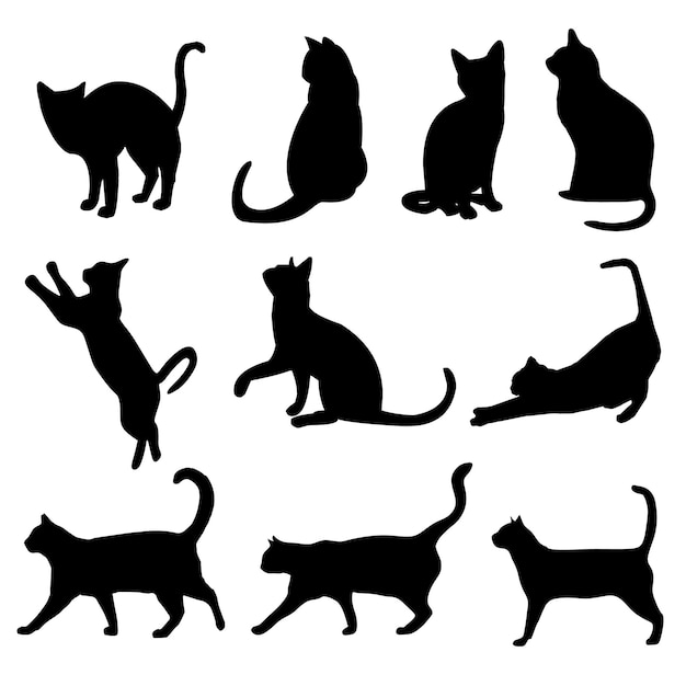 las siluetas de los gatos