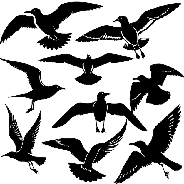 Siluetas de gaviotas sobre un fondo blanco