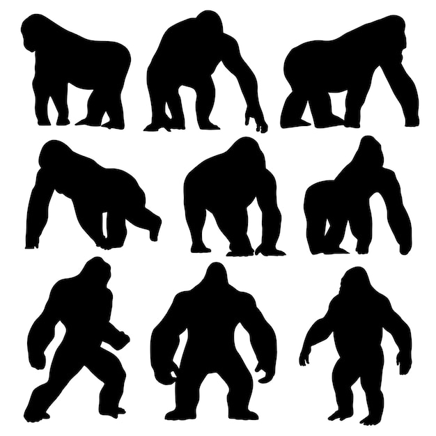 siluetas de gorilas