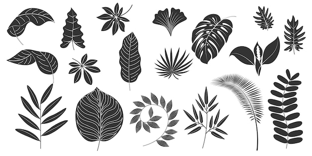 Siluetas de hojas dibujadas a mano tropicales aisladas Colección de plantas exóticas vectoriales Conjunto botánico tropical de verano