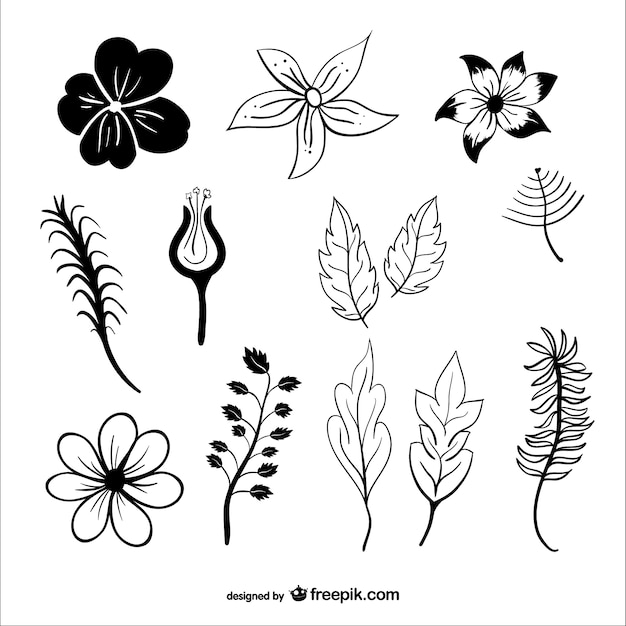 Vector siluetas de hojas y flores