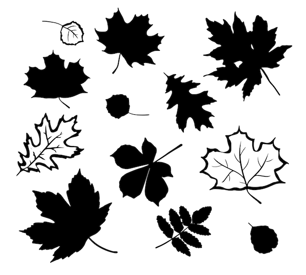 Vector siluetas de hojas de otoño