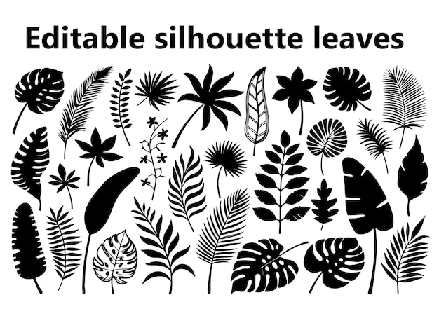 siluetas de hojas rópicas conjunto vectorial monstera palma helecho plátano hoja de arce clipart en el respaldo blanco