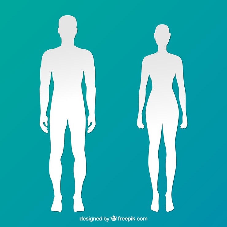 Vector siluetas de hombre y mujer