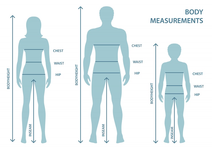 Vector siluetas de hombres y mujeres adultos y niños en toda su longitud con líneas de medición de parámetros corporales