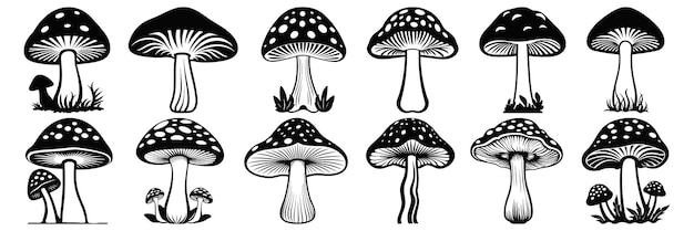 Siluetas de hongos establecen un gran paquete de diseño de silueta vectorial fondo blanco aislado