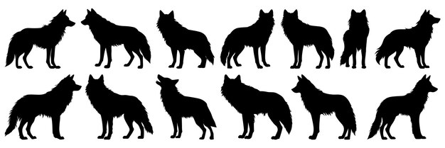 Vector siluetas de lobo conjunto gran paquete de diseño de silueta vectorial aislado fondo blanco