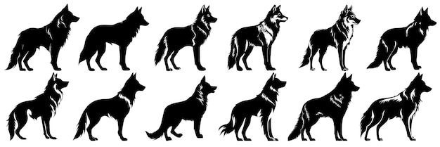 Siluetas de lobo establecen un gran paquete de diseño de silueta vectorial fondo blanco aislado x9