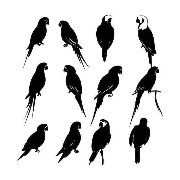 Siluetas de loro