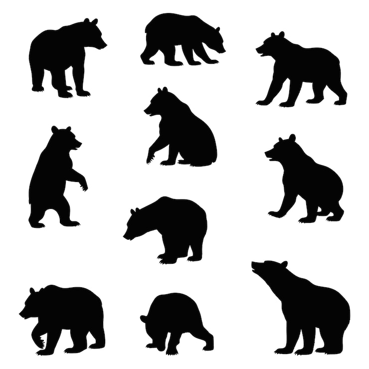 Vector siluetas modernas de oso gráficos vectoriales minimalistas para logotipos, marcas e ilustraciones