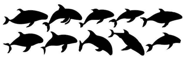 Siluetas de orca ballena establecen un gran paquete de diseño de silueta vectorial fondo blanco aislado