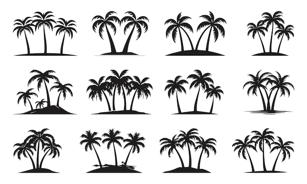 Siluetas de palmeras conjunto vectorial de palmeras silueta vectorial